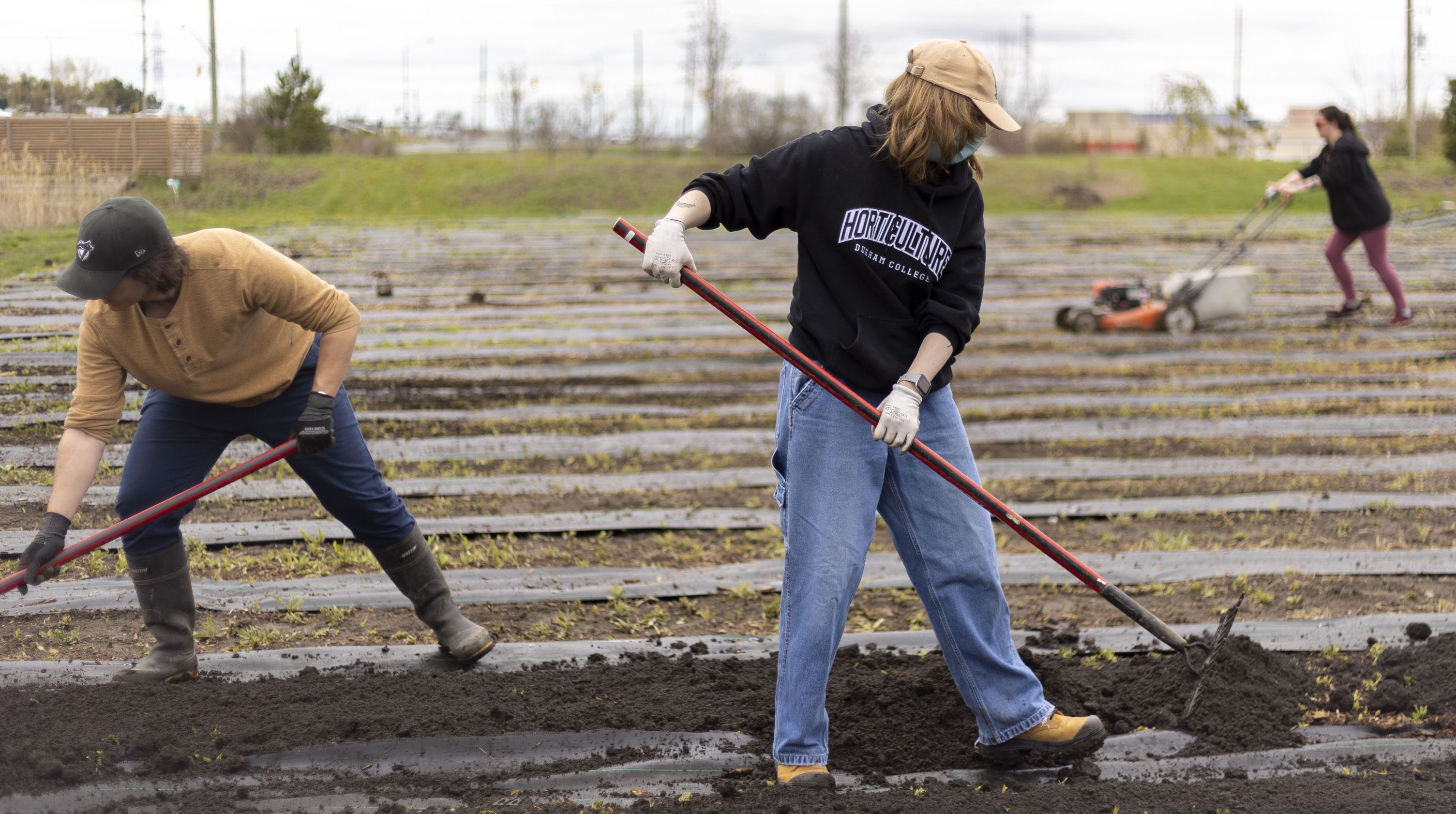 Digging into Dirt: Unearthing Durham College’s Efforts to Maintain Soil